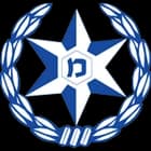 דוחות משטרה
