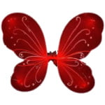 כנפיי פרפר | אדום