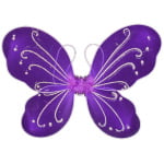 כנפיי פרפר | סגול